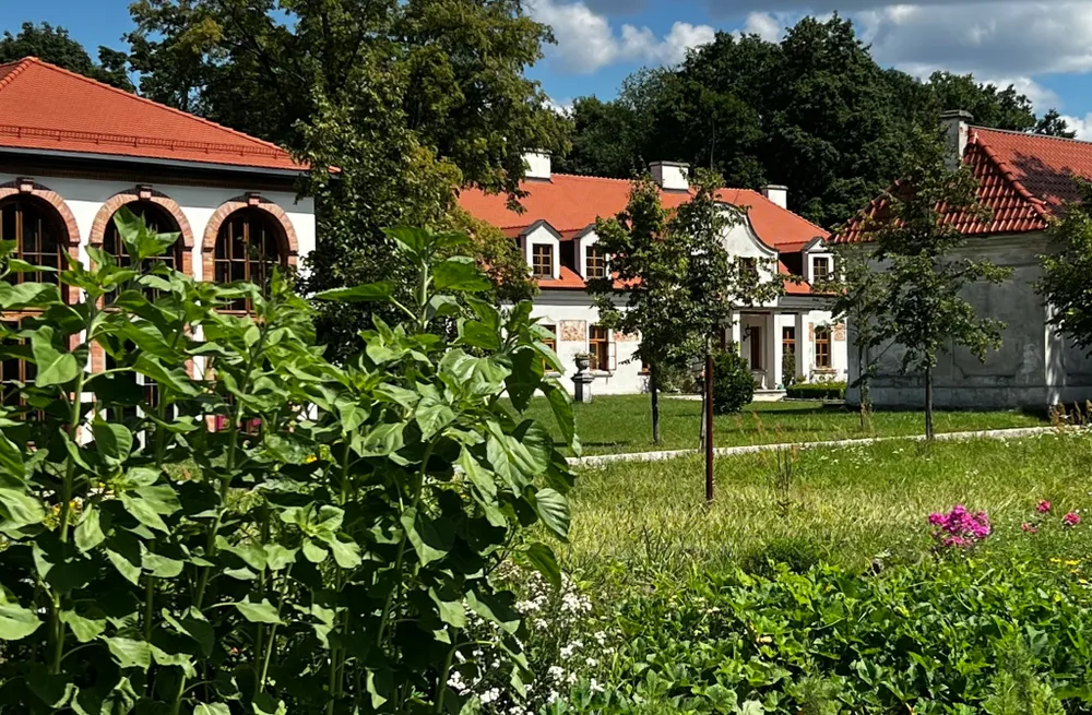 Kuracja Lato