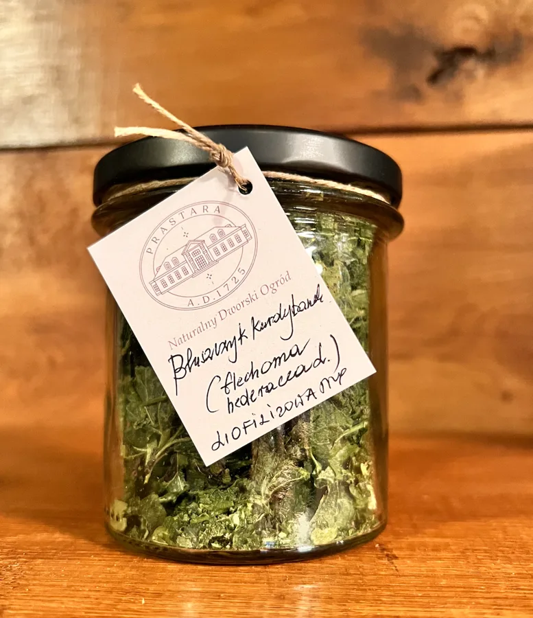 Bluszczyk kurdybanek liofilizowany