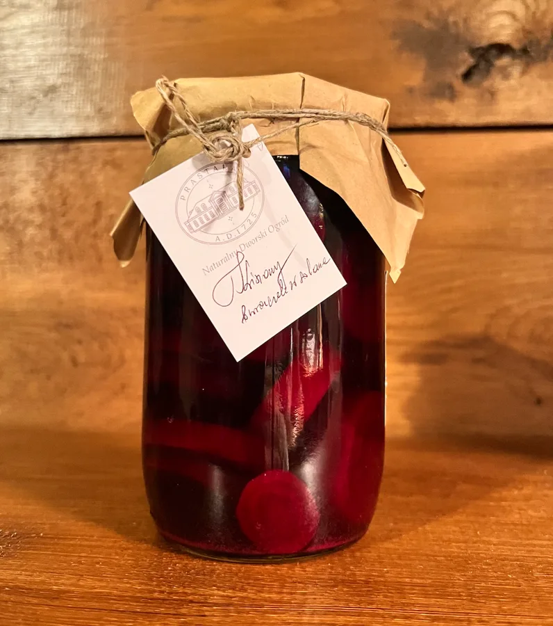 Kiszony buraczek w solance