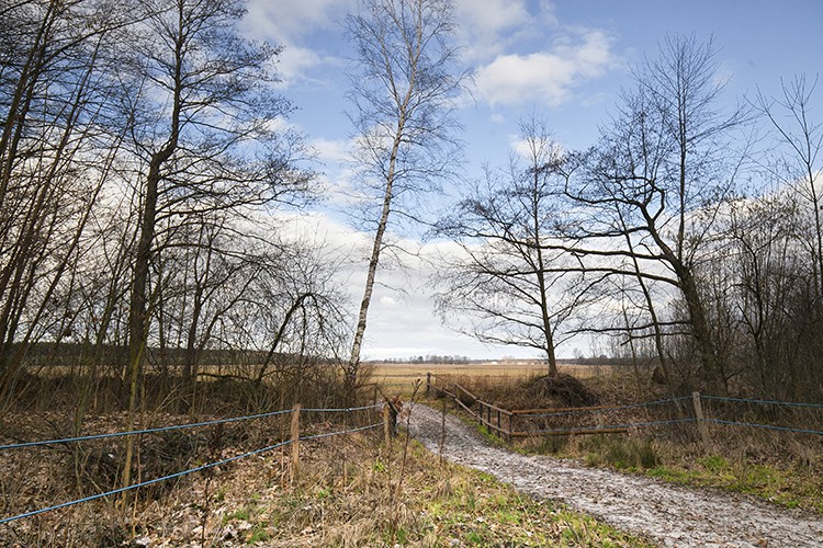 Natura na wagę złota